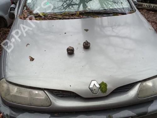 Used Parts RENAULT LAGUNA I (B56_, 556_) 1.6 16V (B568, B561) (107 hp) 4031535