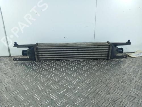 Used Intercooler Intercooler FIAT GRANDE PUNTO (199_) 1.3 D Multijet (75 hp) 28740606 28740606