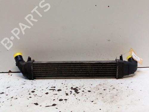Intercooler DACIA LOGAN MCV (KS_) 1.5 dCi (KS0W) | BP28794059M30 - Image 2