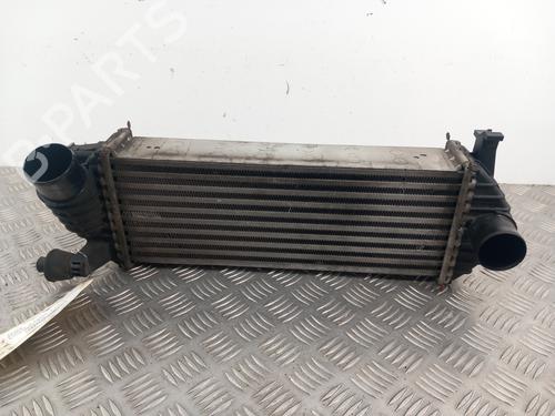 Used Intercooler RENAULT KANGOO / GRAND KANGOO II (KW0/1_) 1.5 dCi 90 (KW05, KW08, KW0G, KW11) (90 hp) 29352310