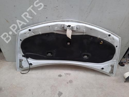 Used Hood RENAULT CLIO III (BR0/1, CR0/1) 1.5 dCi (C/BR0G, C/BR1G) (68 hp) 28763767