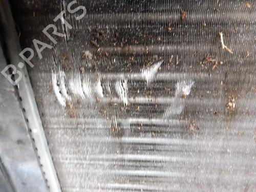 Used Water radiator RENAULT CLIO I (B/C57_, 5/357_) 1.1 (46 hp) 28769998