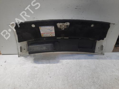 Hood FIAT DUCATO Van (250_) 150 Multijet 2,3 D | BP28758469C1 