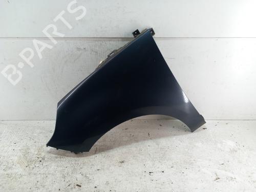 Left front fenders RENAULT SCÉNIC III (JZ0/1_) 1.5 dCi | BP28781159C41 