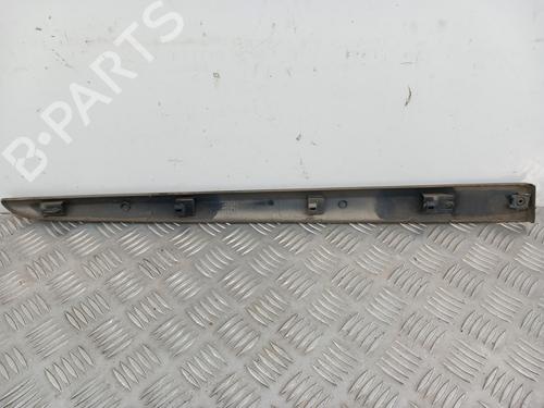 Door moulding trim RENAULT CLIO III (BR0/1, CR0/1) 1.5 dCi (C/BR0G, C/BR1G) | BP28767665C150 