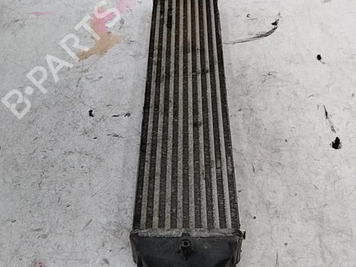 Used Intercooler Intercooler FIAT BRAVO II (198_) 1.6 D Multijet (198AXM1B) (90 hp) 28752224 28752224