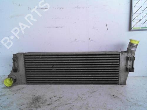 Used Intercooler RENAULT SCÉNIC II (JM0/1_) 1.5 dCi (JM1E, JM16) (106 hp) 28777489