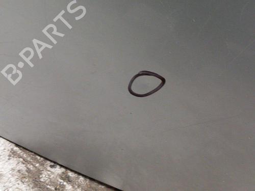 Right rear door RENAULT CLIO III Grandtour (KR0/1_) 1.5 dCi (KR0G) | BP28774029C5 