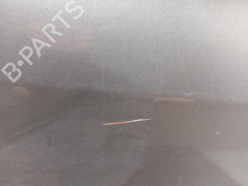 Right front door RENAULT CLIO III (BR0/1, CR0/1) 1.5 dCi (C/BR0G, C/BR1G) | BP28767659C3 