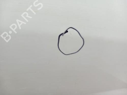 Right front door CITROËN C3 Pluriel (HB_) 1.4 HDi | BP28740805C3