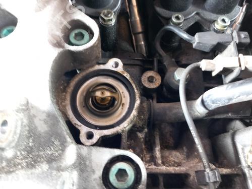 Engine VW GOLF IV (1J1) 1.6 | BP28738791M1 