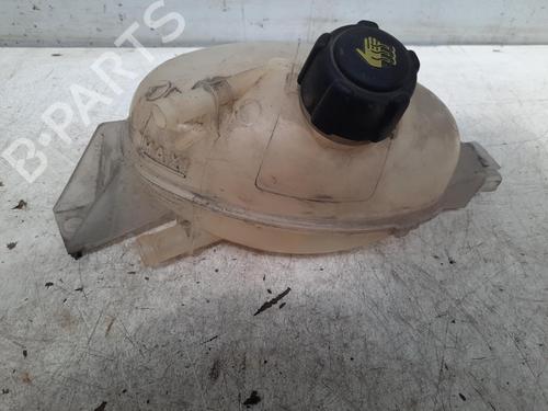 Used Expansion tank RENAULT MASTER III Platform/Chassis (EV, HV, UV) 2.3 dCi 150 FWD (EV0F, HV0F, UV0F, EV03, HV03, UV03) (150 hp) 28749904