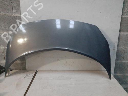 hood-renault-scenic-ii-jm01_-2003-2004-2005-2006-2007-2008-2009-2010-28754453 main image
