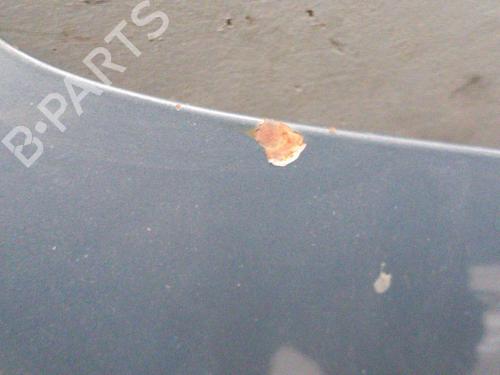 Hood VW TOURAN (1T1, 1T2) 1.9 TDI | BP28773800C1 