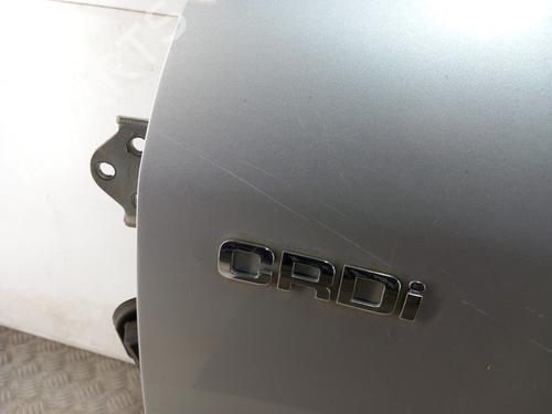 Left front door HYUNDAI SANTA FÉ I (SM) 2.0 CRDi | BP28782543C2