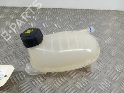 Used Expansion tank DACIA SANDERO III 1.0 TCe 100 ECO-G (101 hp) 28780445
