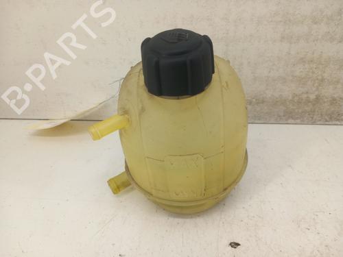 Expansion tank RENAULT MEGANE I (BA0/1_) 1.9 dCi (BA05, BA1F) | BP28781393C120