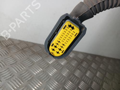 Porte arrière droite RENAULT CLIO III (BR0/1, CR0/1) 1.5 dCi (C/BR0G, C/BR1G) | BP30392426C5