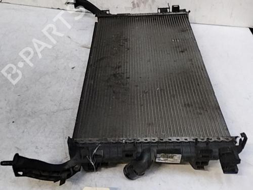 Used Water radiator RENAULT LAGUNA III Grandtour (KT0/1) 2.0 dCi (KT01, KT08, KT09, KT0K, KT12, KT1D, KT1W) (150 hp) 28789658
