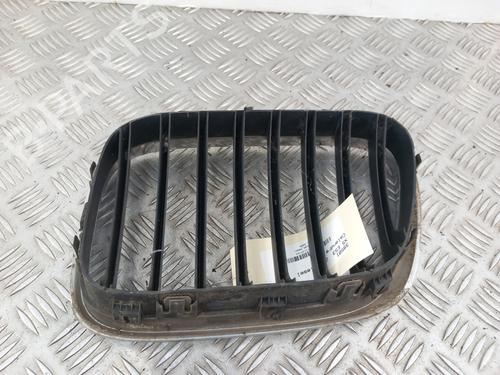 Grille BMW X5 (E53) 3.0 d | BP29478391C40 
