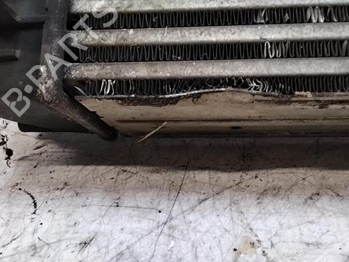 Used Intercooler RENAULT MEGANE III Grandtour (KZ0/1) 1.5 dCi (KZ09, KZ0D, KZ1G, KZ29, KZ14, KZ1W, KZ10, KZ1F,... (110 hp) 28749022