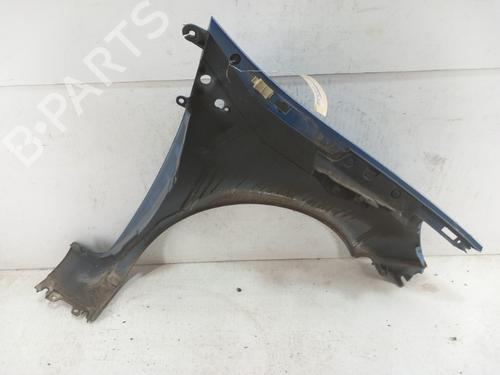 Left front fenders RENAULT CLIO III (BR0/1, CR0/1) 1.5 dCi (C/BR0G, C/BR1G) | BP28744081C41 