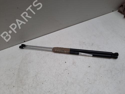 Gassdemper Bakluke LANCIA PHEDRA (179_) 2.0 JTD (179.AXE1A) (107 hp) 28759941