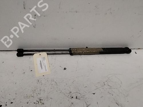 tailgate-lift-support-dacia-sandero-2008-28770684 main image