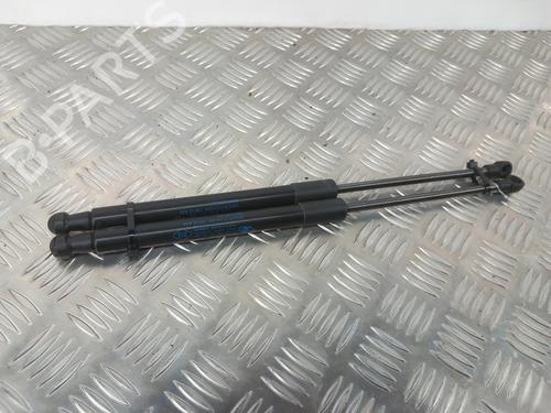 Used Tailgate lift support RENAULT TWINGO II (CN0_) 1.2 16V (CN04, CN0B) (75 hp) 28739526