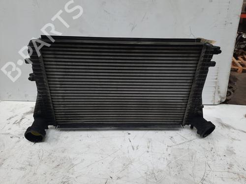 Intercooler AUDI A3 (8P1) 1.9 TDI | BP28787800M30