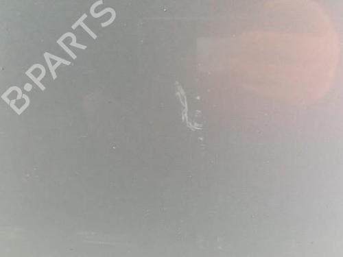 Left front door RENAULT SCÉNIC III (JZ0/1_) 1.9 dCi (JZ0J, JZ1J, JZ1K, JZ1S) | BP28784268C2 