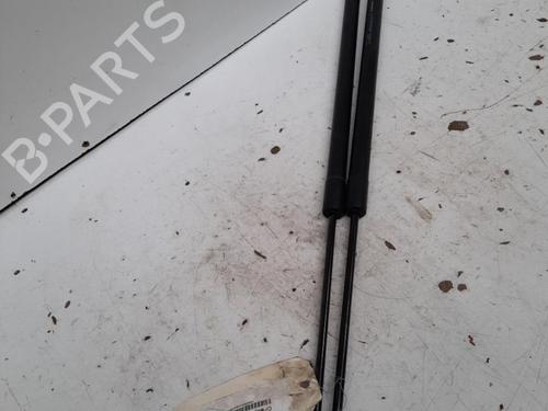 Used Tailgate lift support RENAULT GRAND SCÉNIC III (JZ0/1_) 1.9 dCi (JZ0J, JZ0N, JZ1K, JZ1S) (131 hp) 28776185