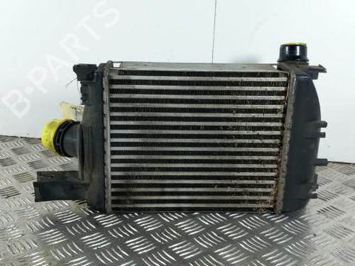 Used Intercooler DACIA DUSTER (HS_) 1.5 dCi (109 hp) 28741303