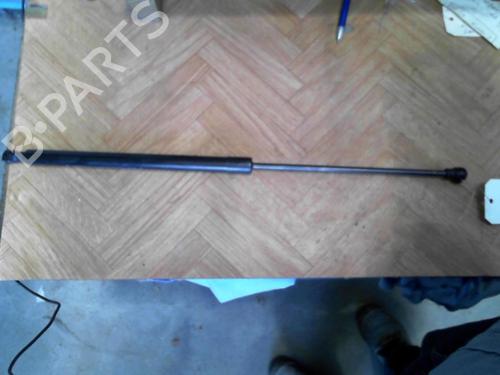 Used Hood lift support DACIA SANDERO II TCe 90 (B8M1, B8MA, B8AC) (90 hp) 28765804