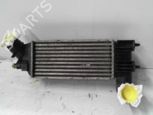 Intercooler PEUGEOT 607 (9D, 9U) 2.0 HDI (136 hp) 28777669