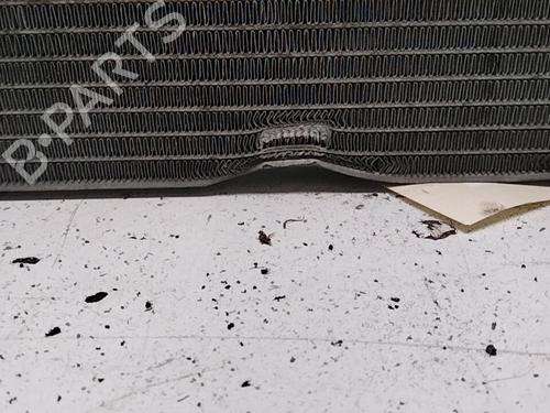 Used Water radiator RENAULT GRAND SCÉNIC III (JZ0/1_) 1.9 dCi (JZ0J, JZ0N, JZ1K, JZ1S) (131 hp) 28776191
