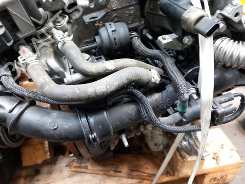 Engine PEUGEOT PARTNER Box Body/MPV (K9) 1.5 BlueHDI 130 | BP28962903M1 