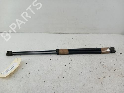 Used Tailgate lift support CITROËN C4 Picasso I MPV (UD_) 1.6 HDi (109 hp) 28739805