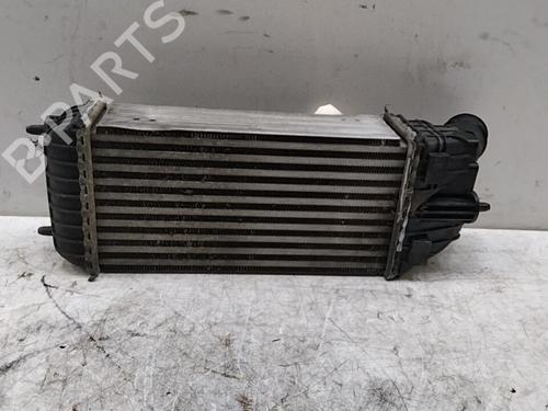Used Intercooler CITROËN C3 II (SC_) 1.6 HDi (92 hp) 28752950