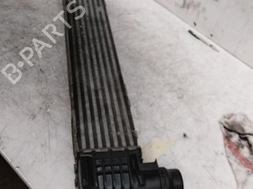 Intercooler RENAULT SCÉNIC III (JZ0/1_) 2.0 dCi (JZ0Y, JZ26) | BP28789849M30