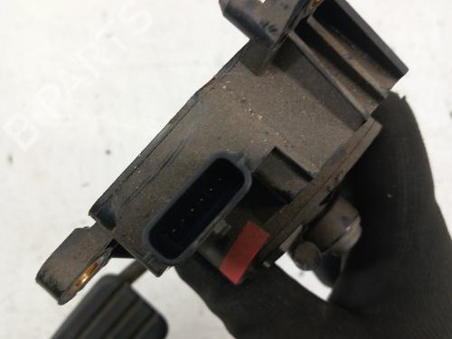 Pedal RENAULT CLIO III (BR0/1, CR0/1) 1.5 dCi (BR17, CR17) | BP28737696I4 
