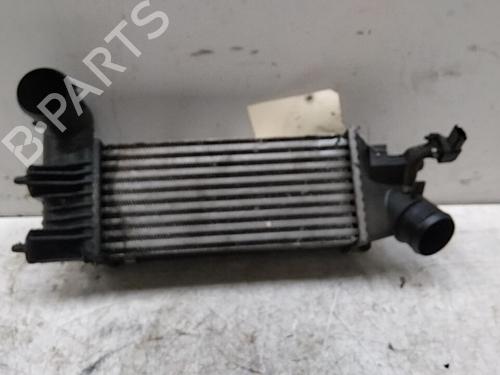 Intercooler PEUGEOT 406 (8B) 2.0 HDI 110 (109 hp) 28790485