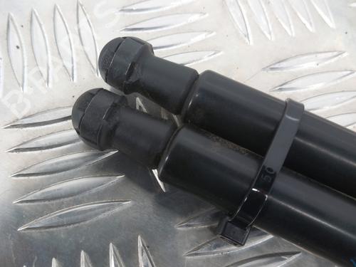 tailgate-lift-support-renault-twingo-ii-cn0_-2007-28739526 main image