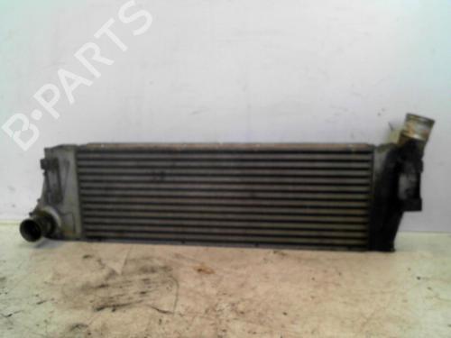 Intercooler RENAULT MEGANE II (BM0/1_, CM0/1_) 1.5 dCi (BM02, BM13, BM2A, CM02, CM13) (101 hp) 28754836