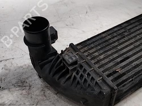 Intercooler RENAULT LAGUNA II Grandtour (KG0/1_) 1.9 dCi (125 hp) 28760294