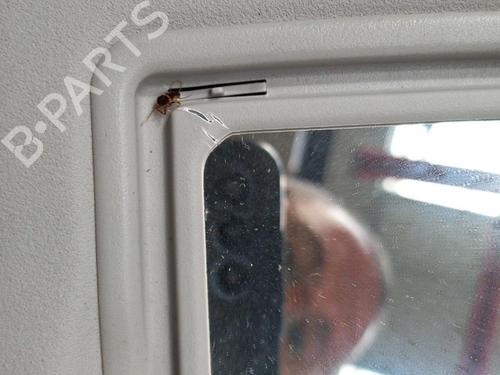 Left sun visor PEUGEOT 1007 (KM_) 1.4 HDi | BP28775610I1 - Image 4