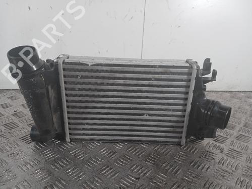 Intercooler DACIA SANDERO III 1.0 TCe 90 | BP32115201M30 - Image 3