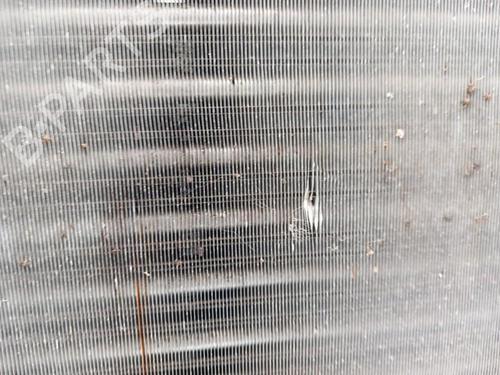Water radiator RENAULT RAPID Box Body/MPV (F40_, G40_) 1.1 | BP28740304M31 