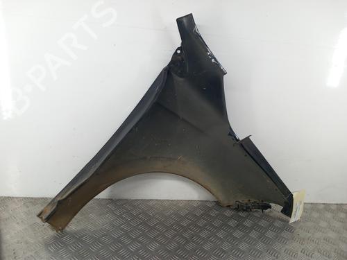 Left front fenders RENAULT MEGANE III Hatchback (BZ0/1_, B3_) 1.9 dCi (BZ0N, BZ0J) | BP29598149C41 