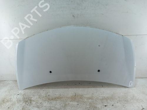 Used Hood RENAULT CLIO III (BR0/1, CR0/1) 1.5 dCi (C/BR0G, C/BR1G) (68 hp) 28737948